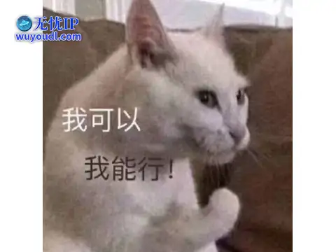 图片6.png