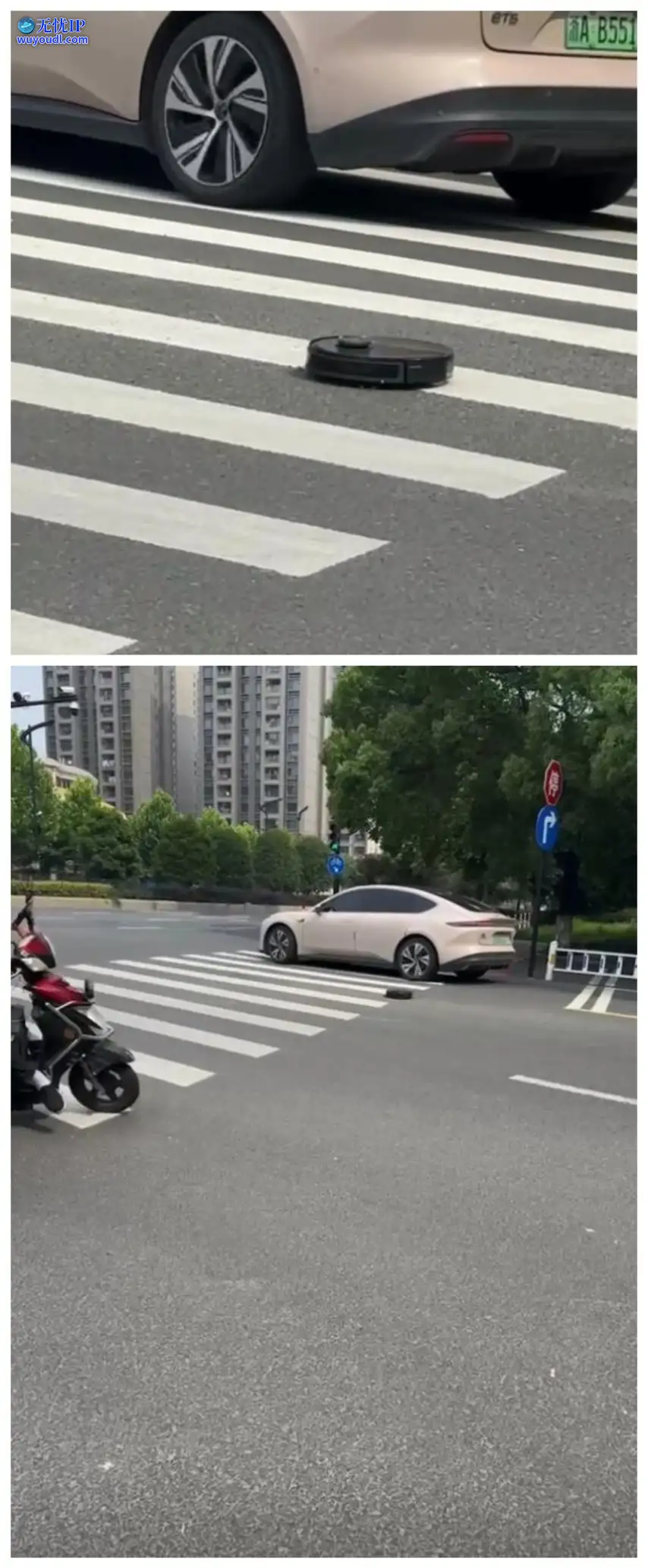 图 (11).jpg
