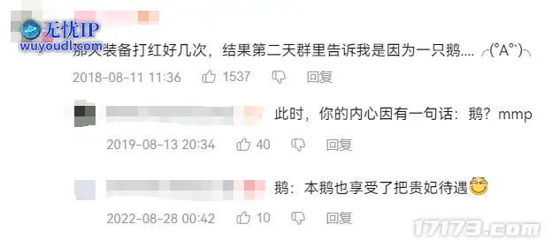 图片12.png