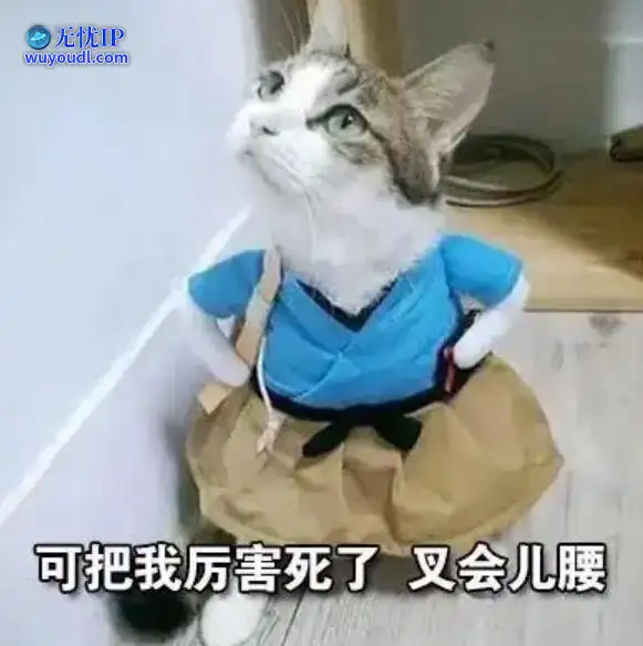 图 (4).jpg