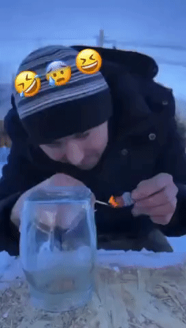 2024_0805_a0281645g00shqgsj02xqd0007k00dcm.gif