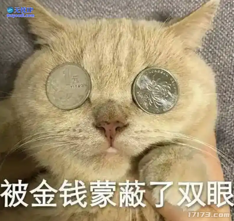图片24.png