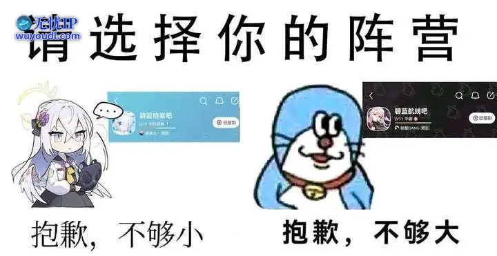20.jpg