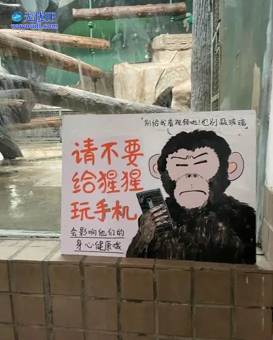 图 (2).jpg
