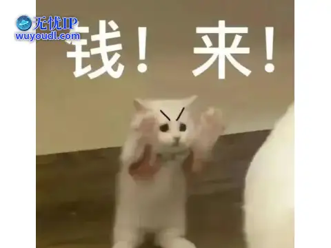 图片9.png
