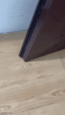 2024_0725_78a76380g00sh661c01lxd0007800cum.gif