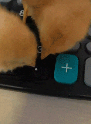 2024_0723_985a5cd4g00sh2bwf010ed0008c00bbm.gif