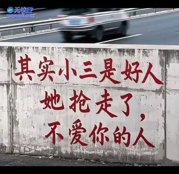 图 (13).jpg
