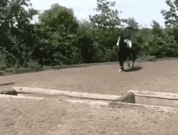 2024_0726_eae0da63g00sh7zhr01f2d000a0007nm.gif