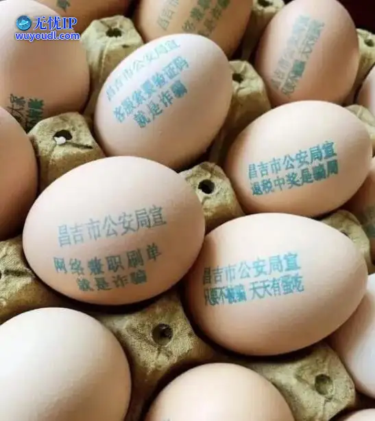 图 (26).jpg