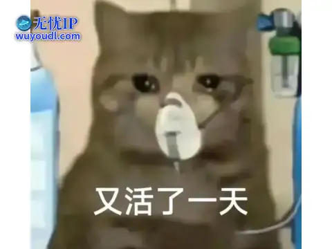 图片15.png