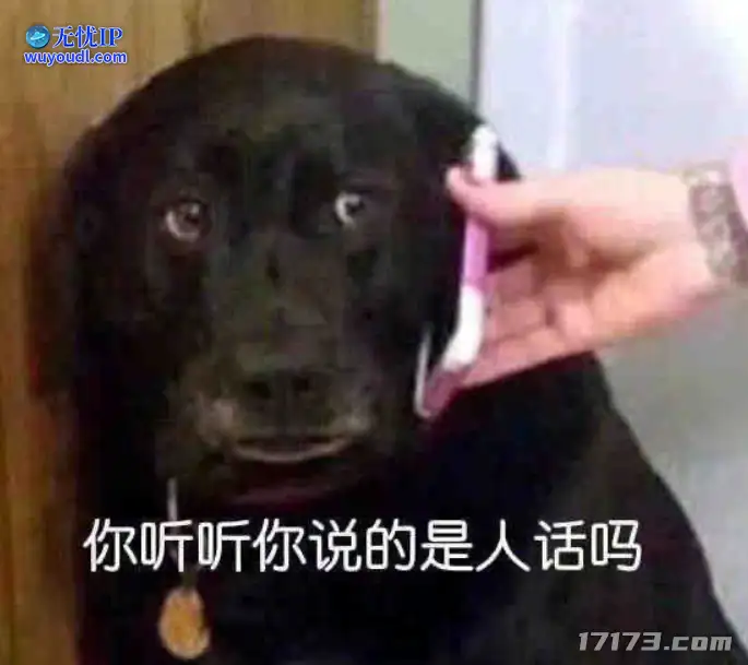 图片11.png