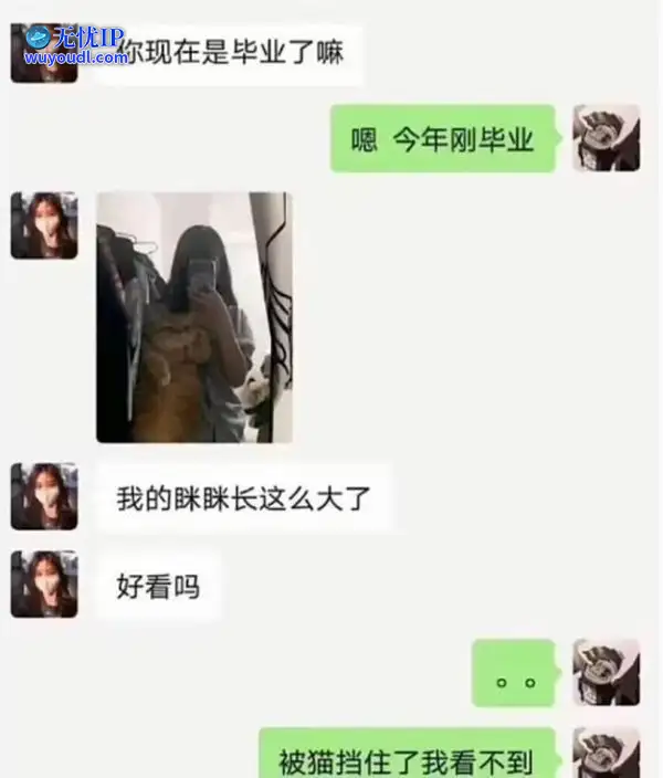 图 (14).jpg