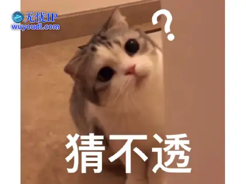 图片9.png