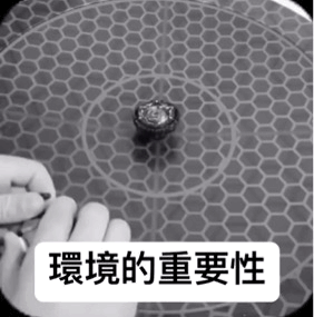 2024_0727_9567767cg00sh9swk02ydd0007u007xm.gif
