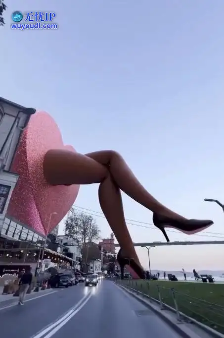 图 (2).jpg
