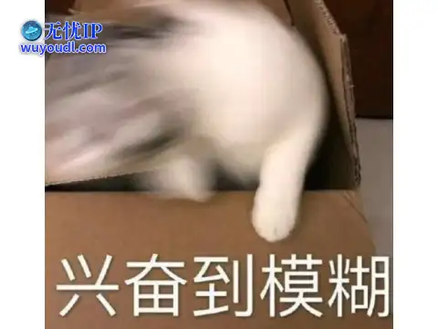 图片13.png