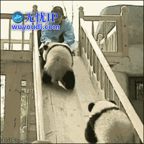 2024_0807_f9cf9d4bg00shuduu00w7d0007s007sm.gif