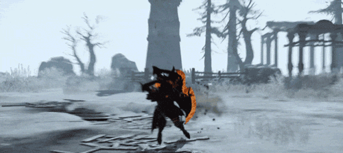 狂战士.gif
