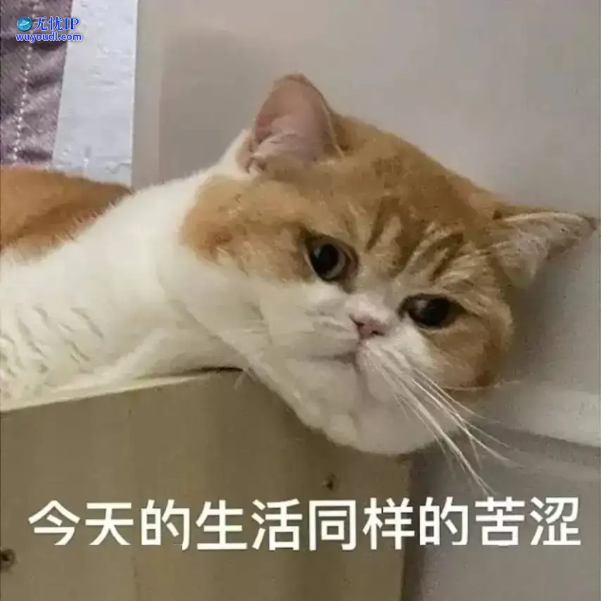 4ee1a588eea84d31ad874d45995b6f91.webp