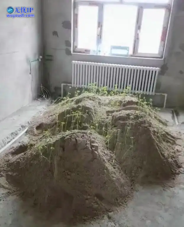 图 (32).jpg