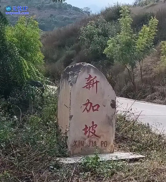 图 (14).jpg