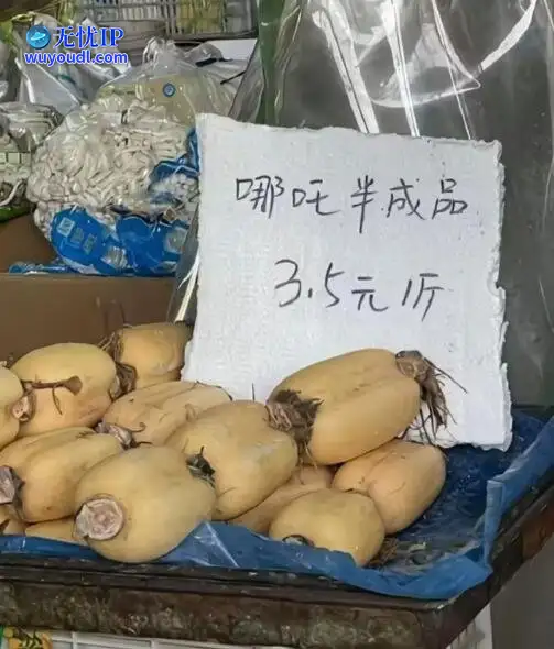 图 (13).jpg