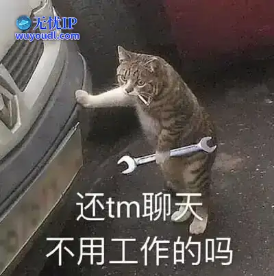 u=1520062593,3592196852&fm=253&fmt=auto&app=138&f=JPEG.webp
