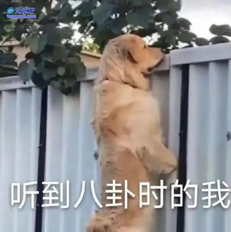 图 (9).jpg