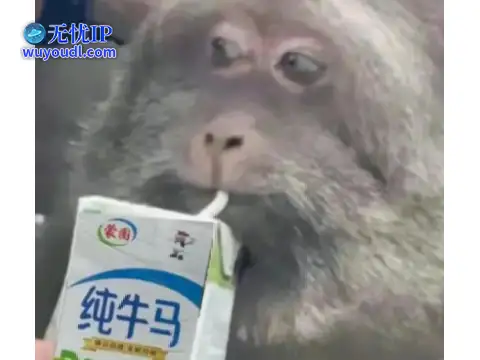 图片8.png
