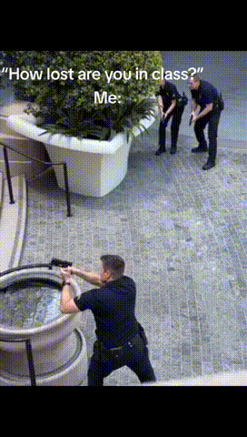 2024_0726_bb4b7e33g00sh7zhr01z2d0007k00dcm.gif