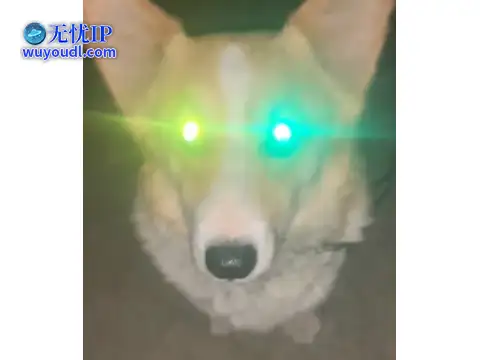 图片14.png