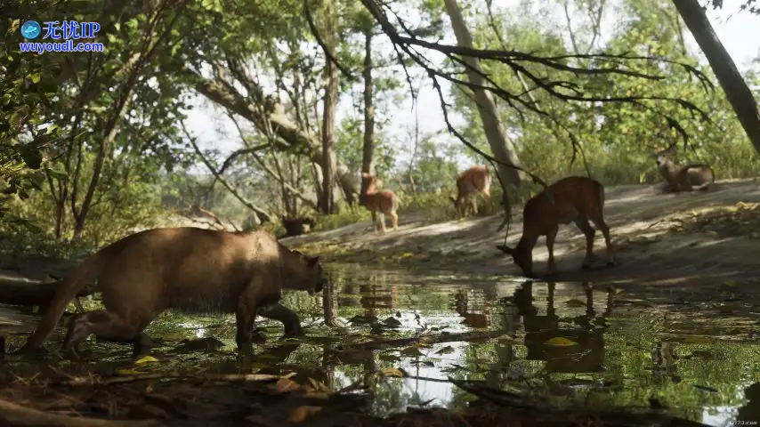 Mount_Kalaga_National_Park_05.b28e1836.jpg
