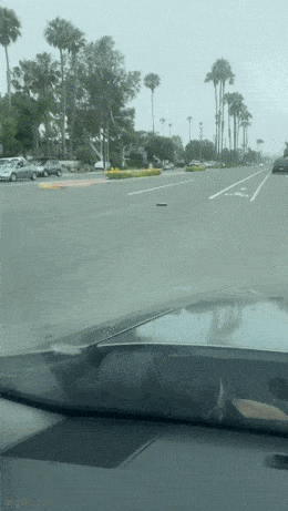 2024_0725_0ebb28a0g00sh661c01phd0007800ctm.gif