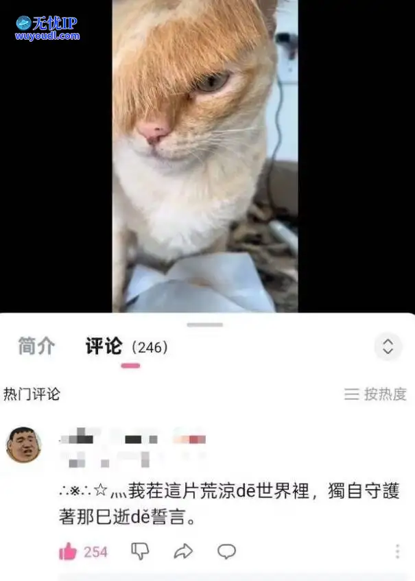 图 (7).jpg