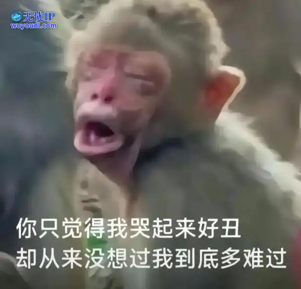 图 (1).jpg