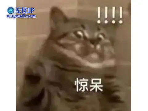 图片21.png