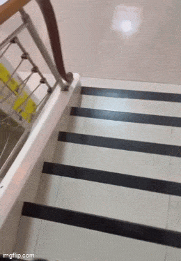 2024_0725_1b3e1a61g00sh661d02dpd0007800aem.gif