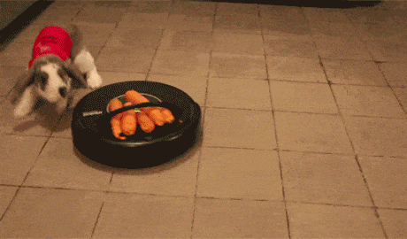 2024_0728_dd438191g00shbloh00h8d000cs007im.gif