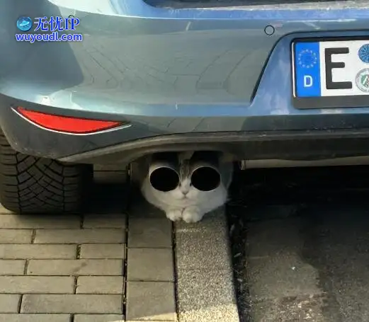 图 (28).jpg