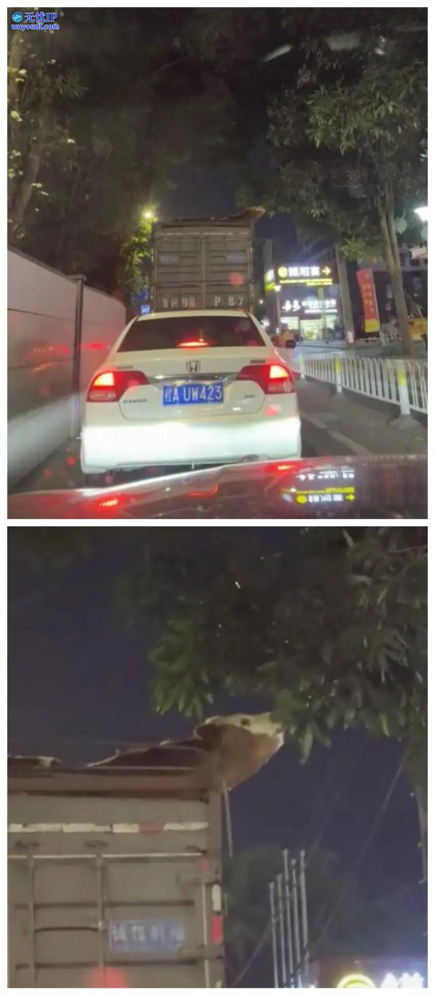 图 (2).jpg