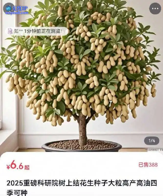 图 (6).jpg