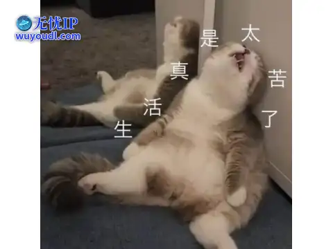 图片9.png