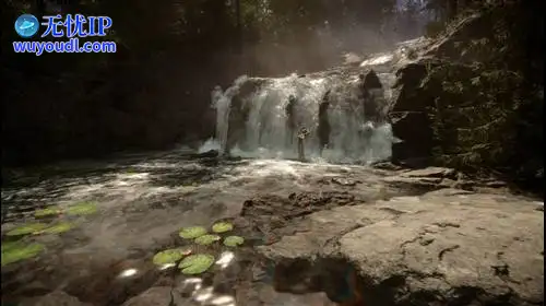 无忧IP支持森林之子