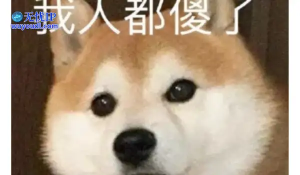 打游戏还能治病？认知障碍被魔兽击败！这届玩家把医生整不会了