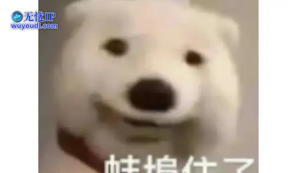 BUG冲分翻车！网易封杀8000 魔兽高玩，普通玩家躺进国服前十！