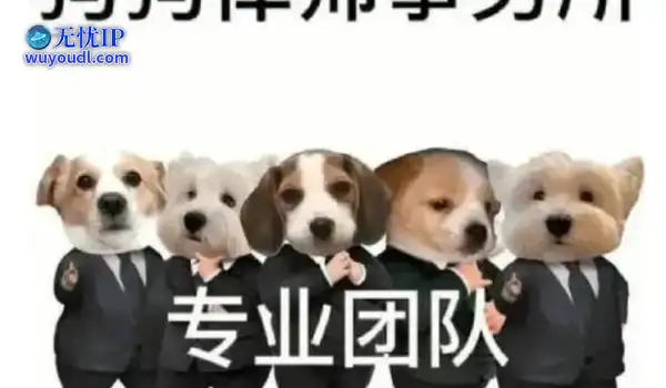2025年停运游戏盘点！为接盘暴雪网易复活了它，2年后再次暴死！